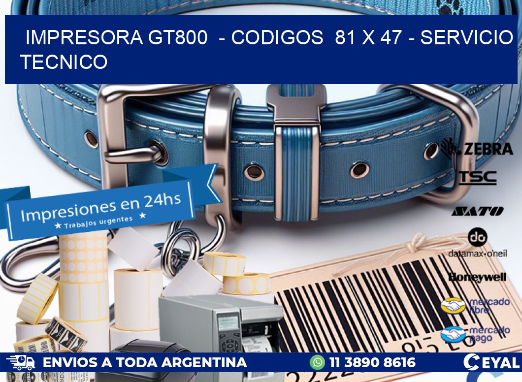 IMPRESORA GT800  - CODIGOS  81 x 47 - SERVICIO TECNICO