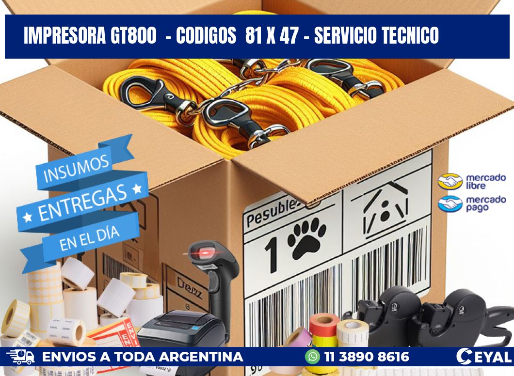 IMPRESORA GT800  - CODIGOS  81 x 47 - SERVICIO TECNICO