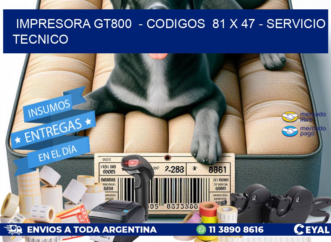 IMPRESORA GT800  - CODIGOS  81 x 47 - SERVICIO TECNICO