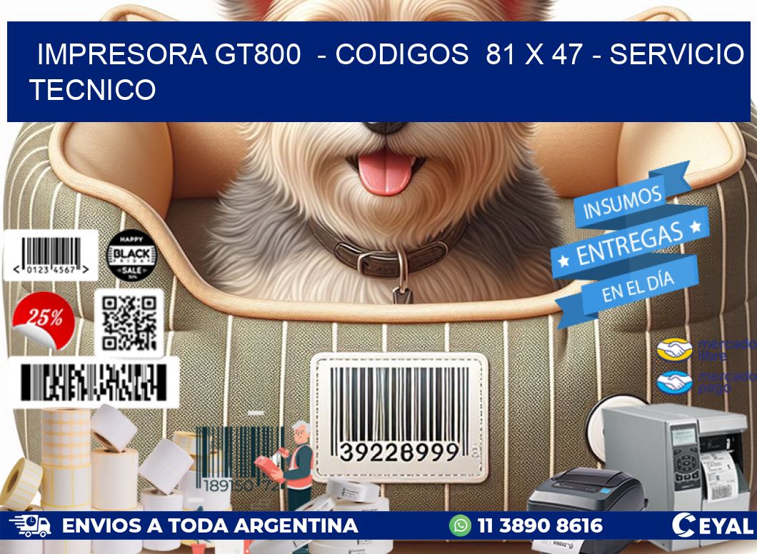 IMPRESORA GT800  – CODIGOS  81 x 47 – SERVICIO TECNICO