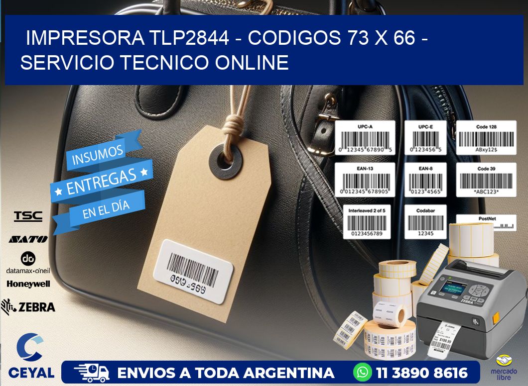 IMPRESORA TLP2844 - CODIGOS 73 x 66 - SERVICIO TECNICO ONLINE
