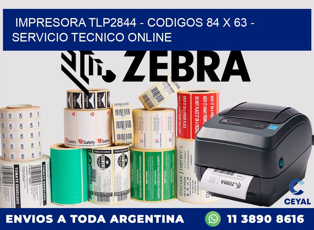 IMPRESORA TLP2844 - CODIGOS 84 x 63 - SERVICIO TECNICO ONLINE