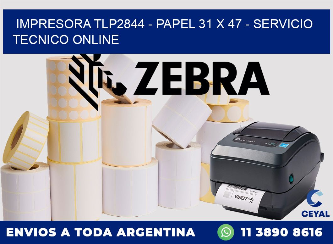 IMPRESORA TLP2844 - PAPEL 31 x 47 - SERVICIO TECNICO ONLINE