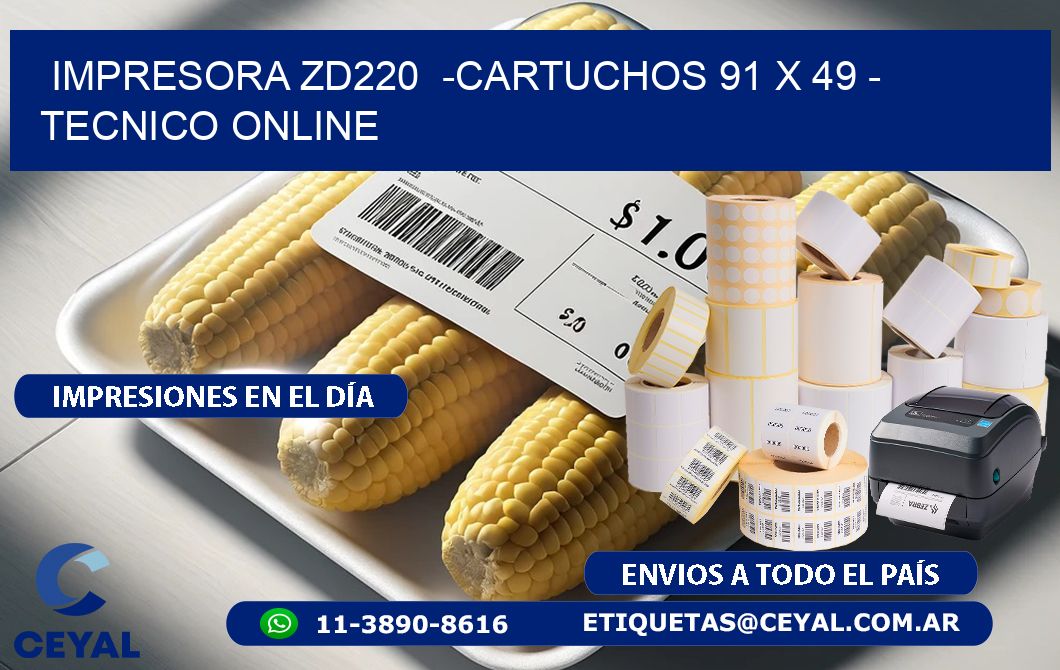 IMPRESORA ZD220  -CARTUCHOS 91 x 49 – TECNICO ONLINE