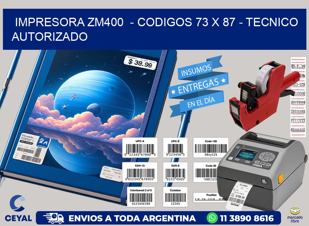 IMPRESORA ZM400  - CODIGOS 73 x 87 - TECNICO AUTORIZADO