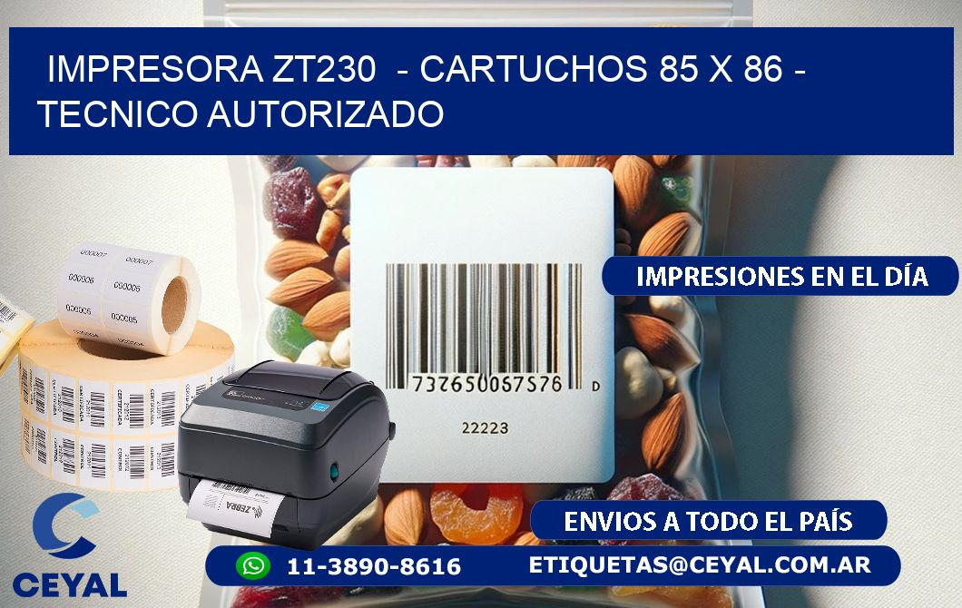 IMPRESORA ZT230  - CARTUCHOS 85 x 86 - TECNICO AUTORIZADO