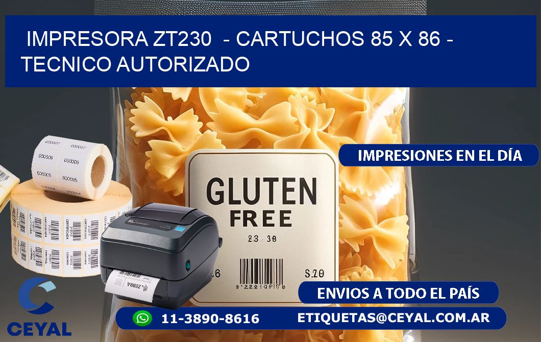 IMPRESORA ZT230  – CARTUCHOS 85 x 86 – TECNICO AUTORIZADO