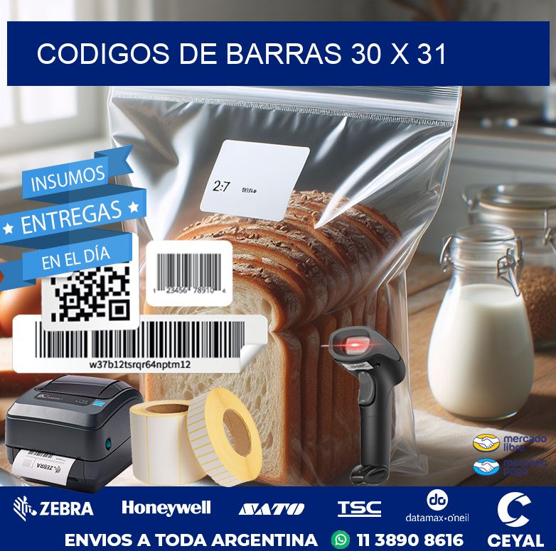 codigos de barras 30 x 31