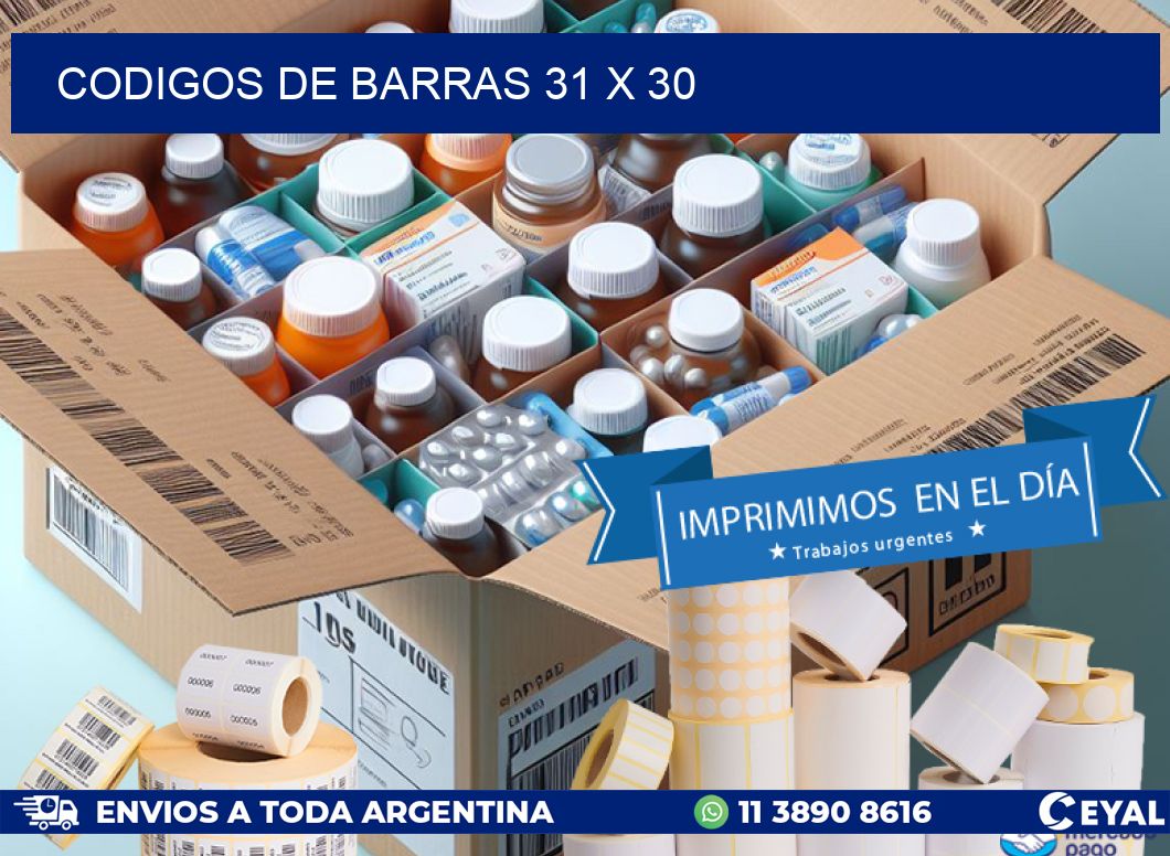 codigos de barras 31 x 30