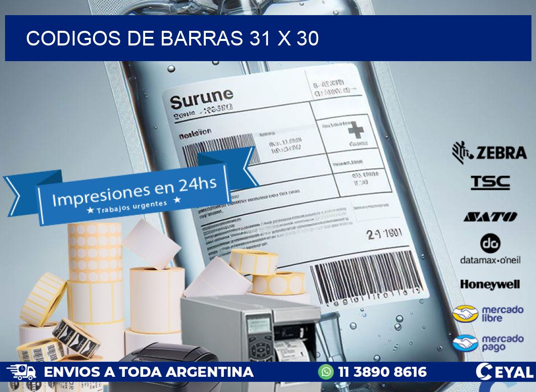 codigos de barras 31 x 30