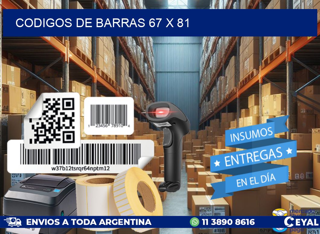 codigos de barras 67 x 81