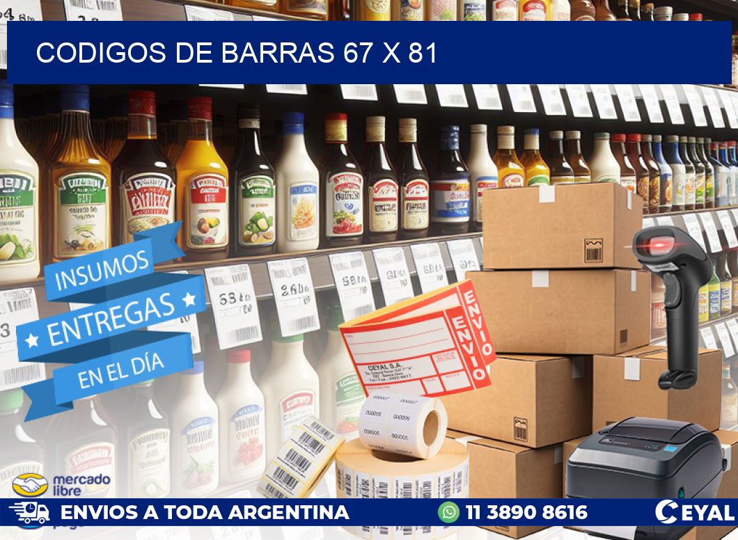 codigos de barras 67 x 81