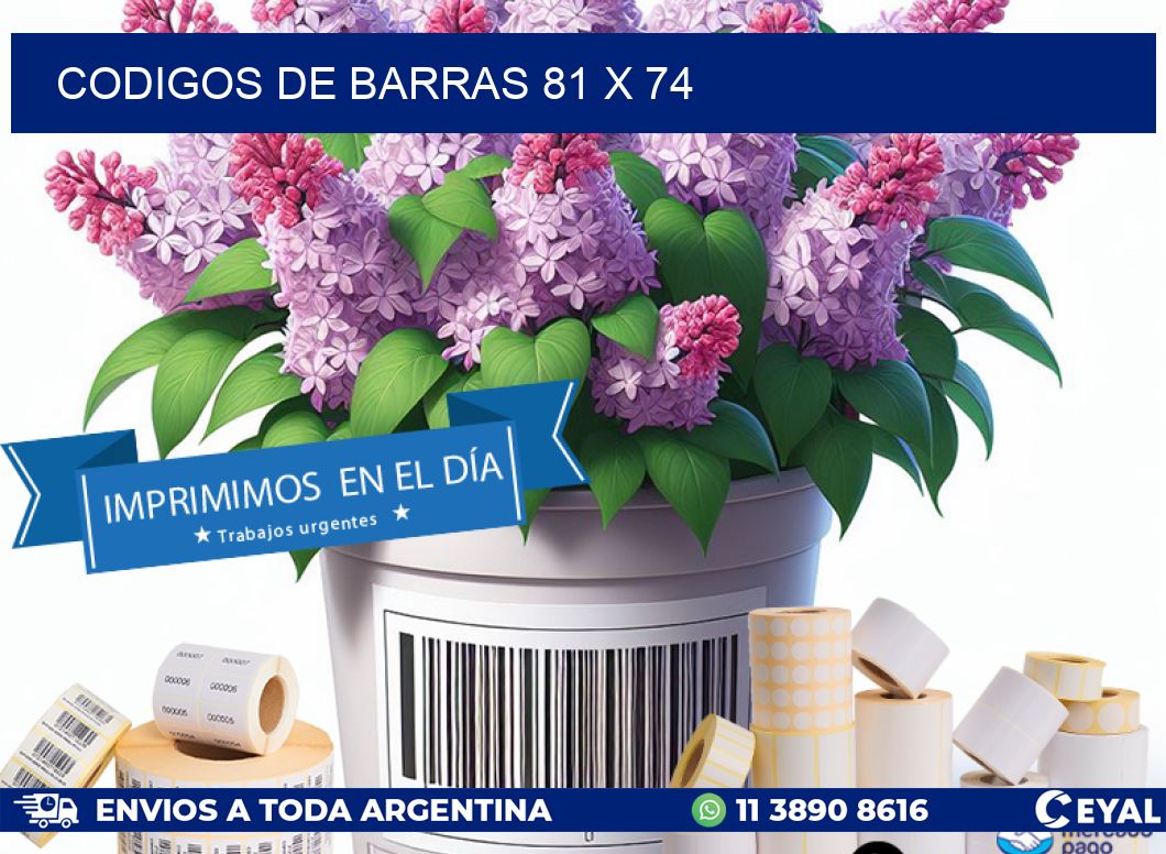 codigos de barras 81 x 74