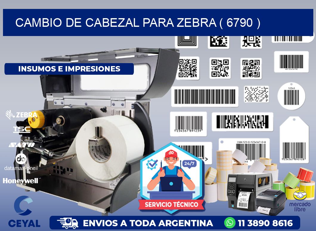 CAMBIO DE CABEZAL PARA ZEBRA ( 6790 )