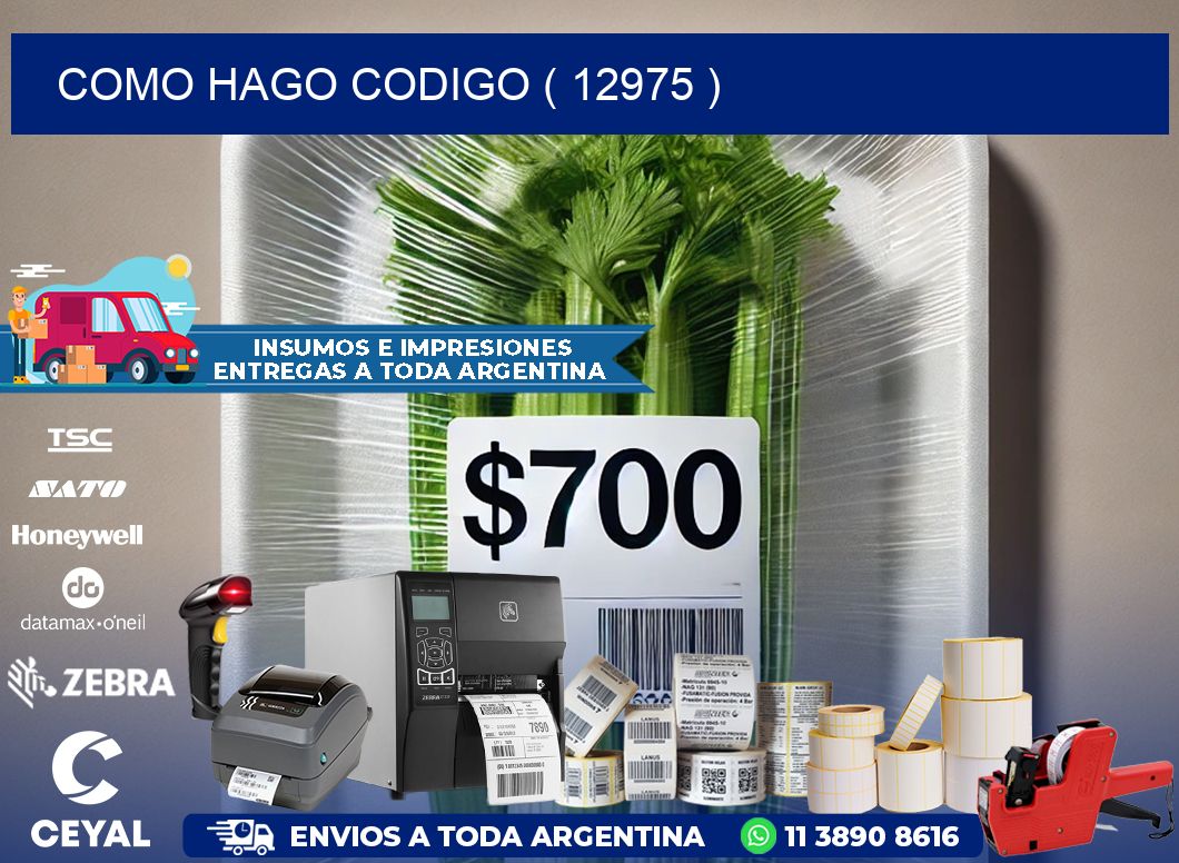 COMO HAGO CODIGO ( 12975 )