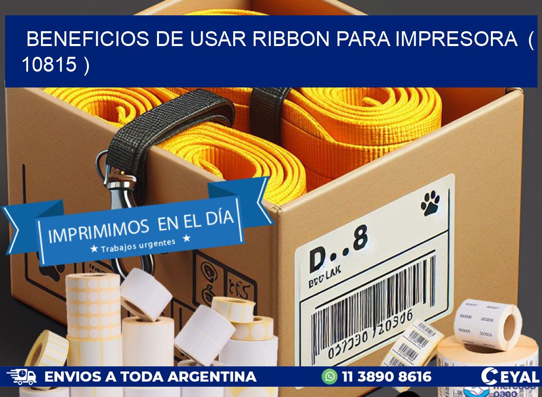 BENEFICIOS DE USAR RIBBON PARA IMPRESORA ( 10815 )