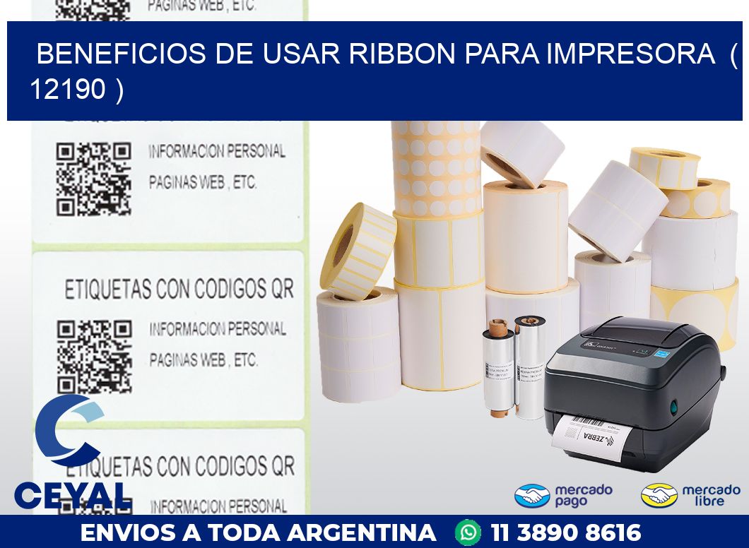 BENEFICIOS DE USAR RIBBON PARA IMPRESORA ( 12190 )