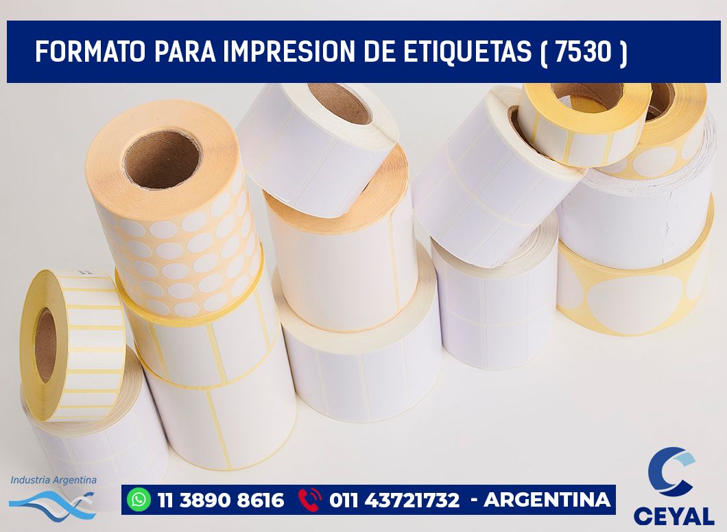 FORMATO PARA IMPRESION DE ETIQUETAS ( 7530 )