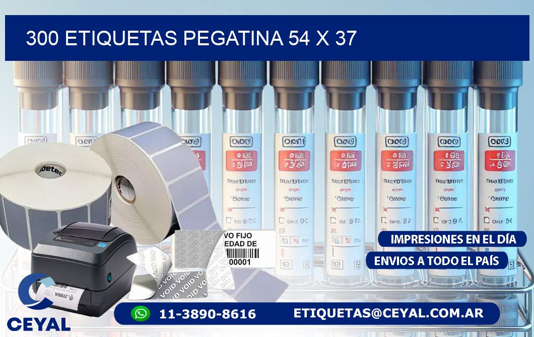 300 ETIQUETAS PEGATINA 54 x 37