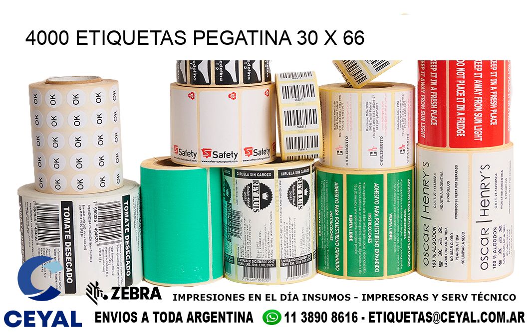 4000 ETIQUETAS PEGATINA 30 x 66