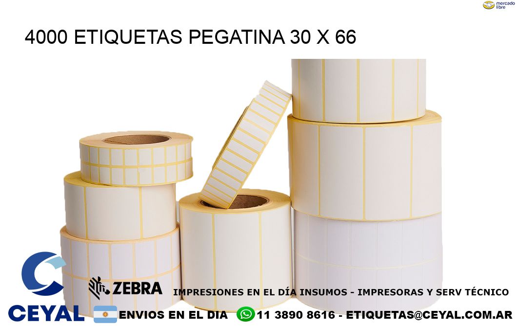 4000 ETIQUETAS PEGATINA 30 x 66