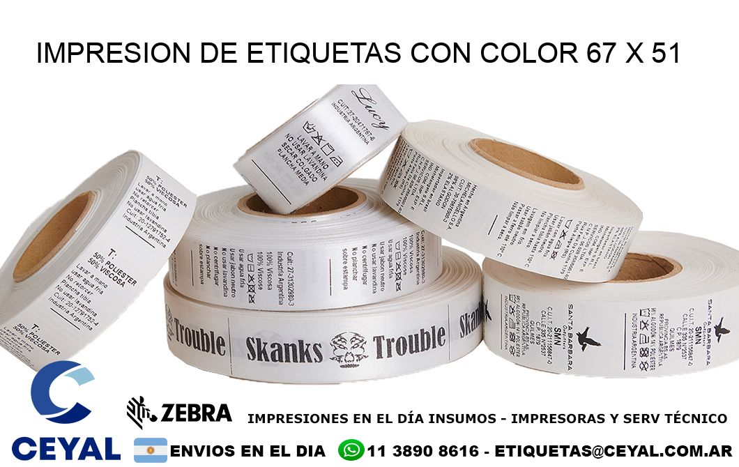IMPRESION DE ETIQUETAS CON COLOR 67 x 51