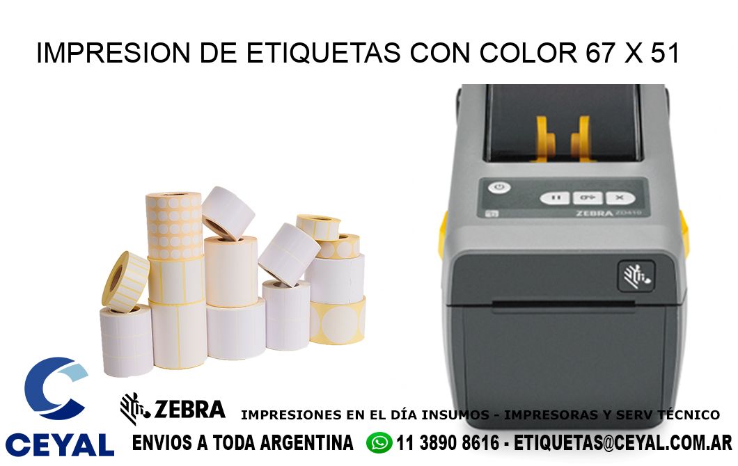 IMPRESION DE ETIQUETAS CON COLOR 67 x 51