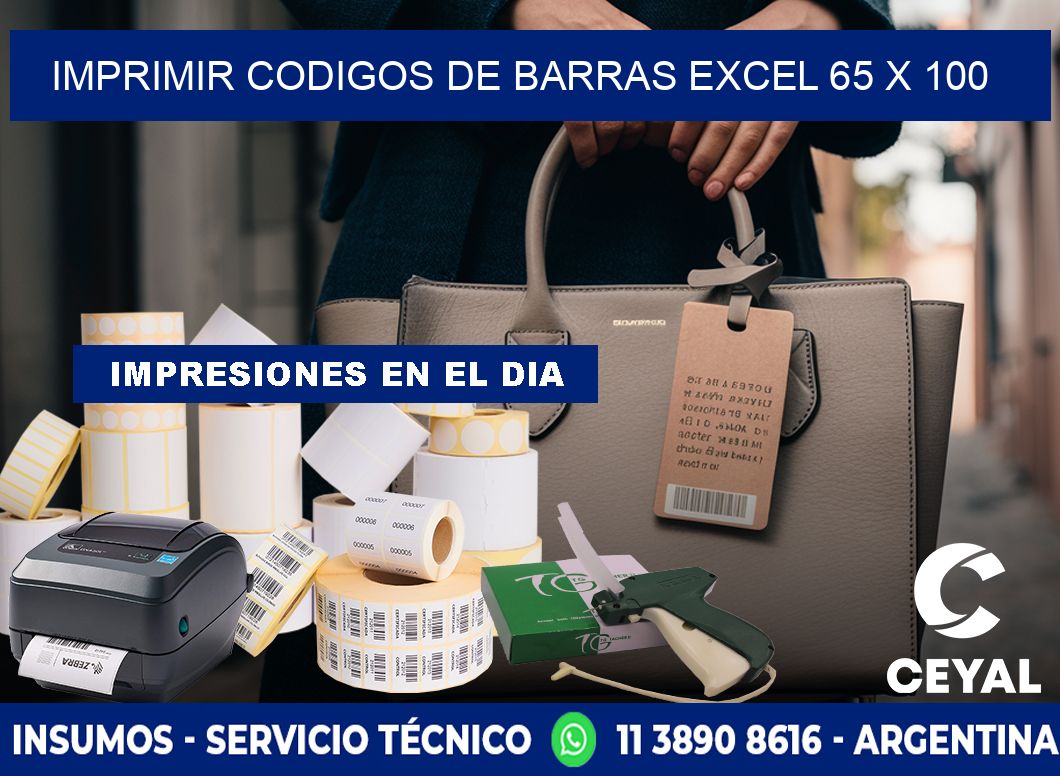 IMPRIMIR CODIGOS DE BARRAS EXCEL 65 x 100