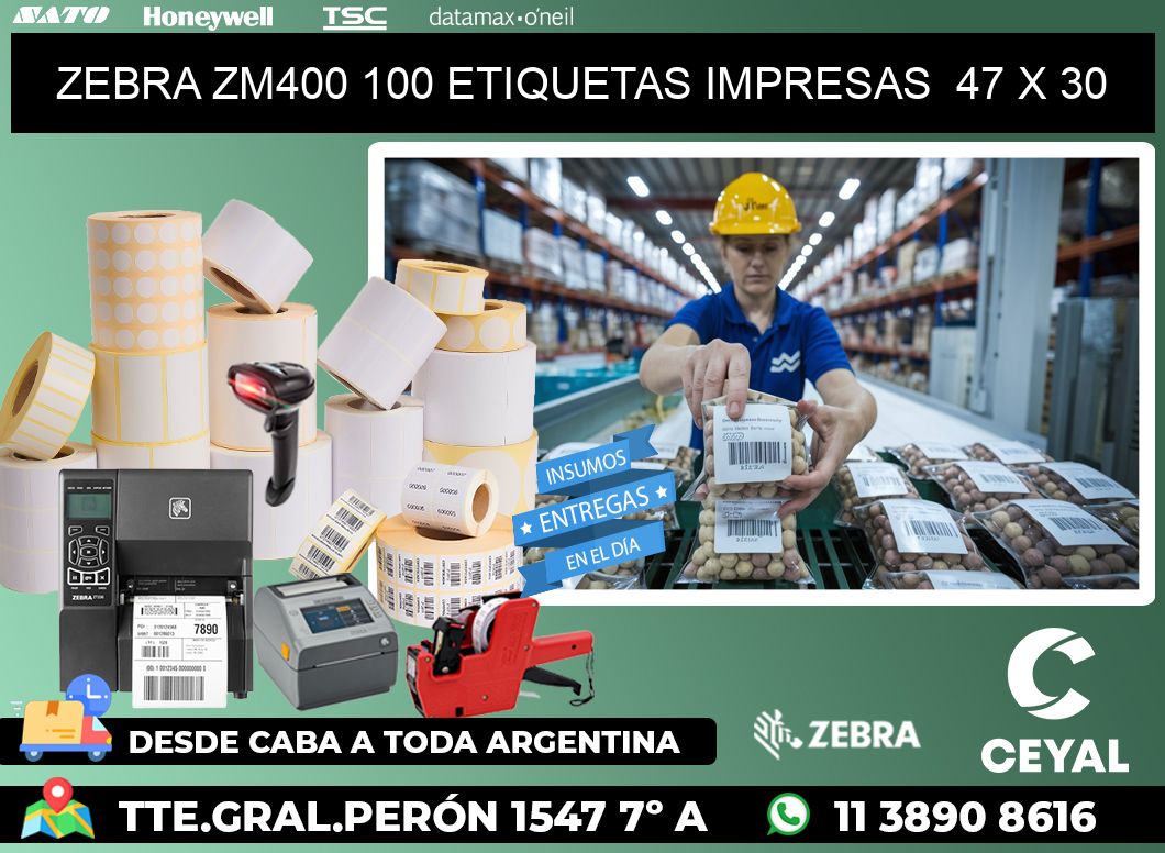 ZEBRA ZM400 100 ETIQUETAS IMPRESAS  47 x 30