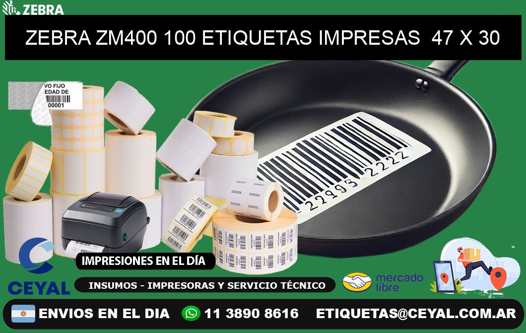 ZEBRA ZM400 100 ETIQUETAS IMPRESAS  47 x 30