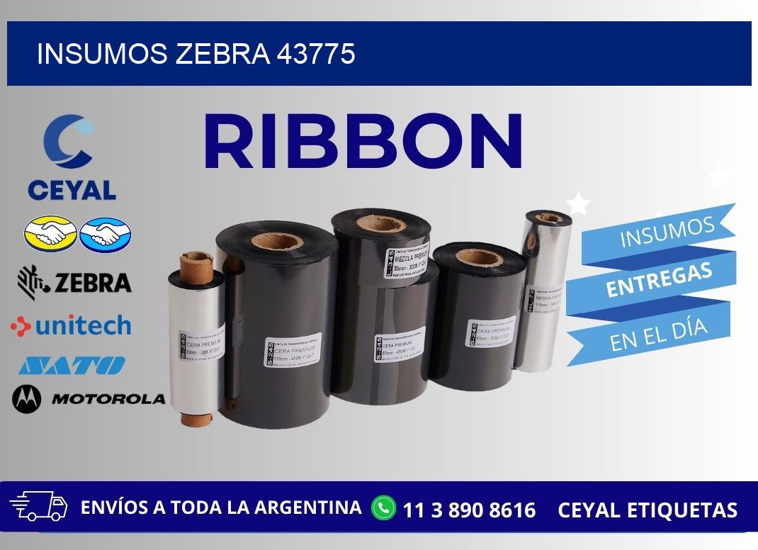 INSUMOS ZEBRA 43775