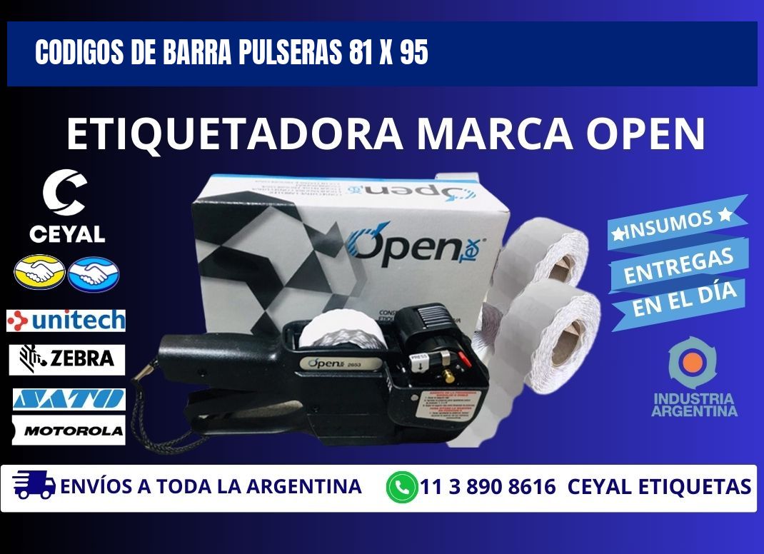 CODIGOS DE BARRA PULSERAS 81 x 95