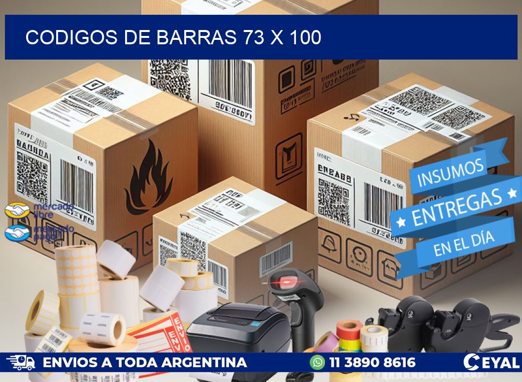 CODIGOS DE BARRAS 73 x 100
