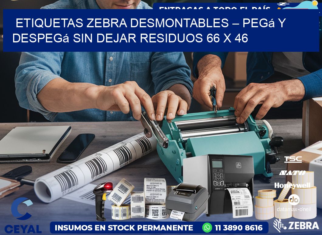 Etiquetas Zebra Desmontables – Pegá y Despegá Sin Dejar Residuos 66 x 46