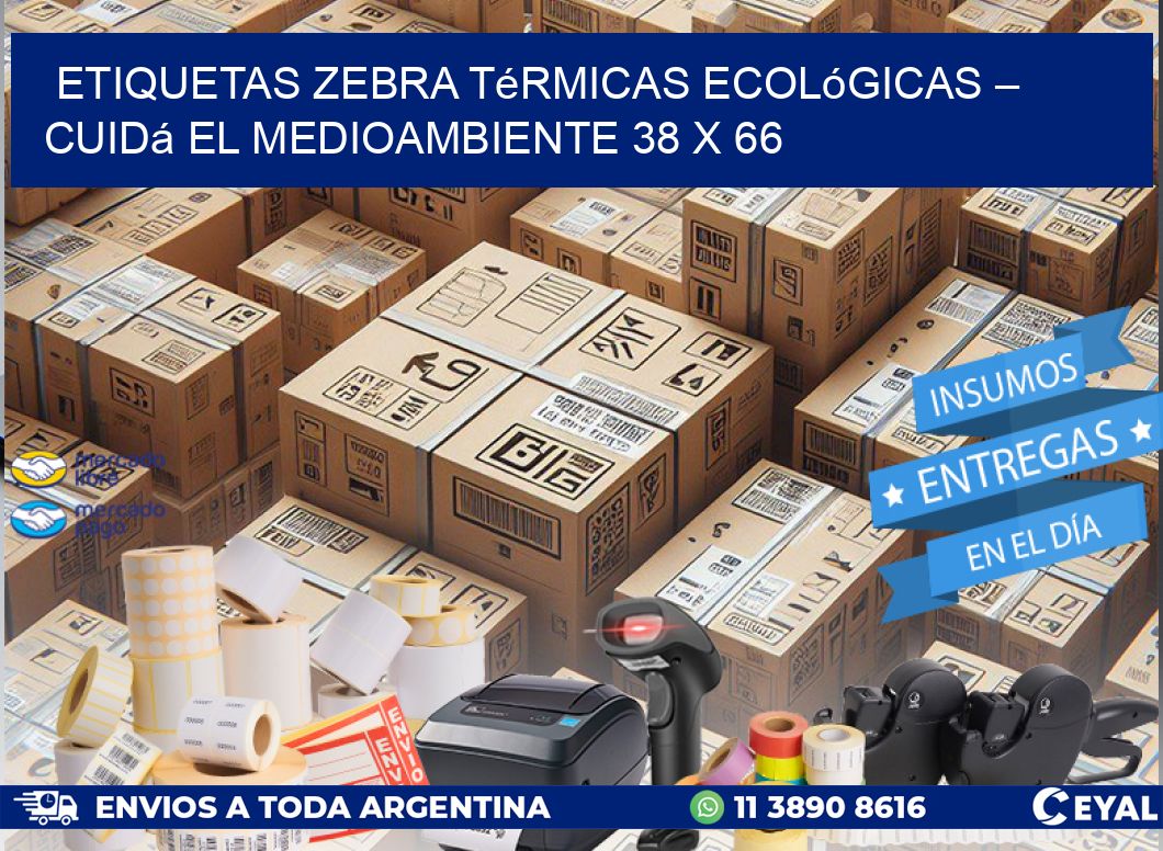 Etiquetas Zebra Térmicas Ecológicas – Cuidá el Medioambiente 38 x 66