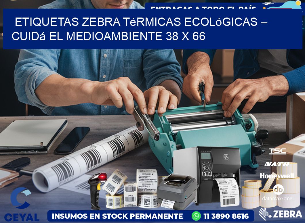 Etiquetas Zebra Térmicas Ecológicas – Cuidá el Medioambiente 38 x 66
