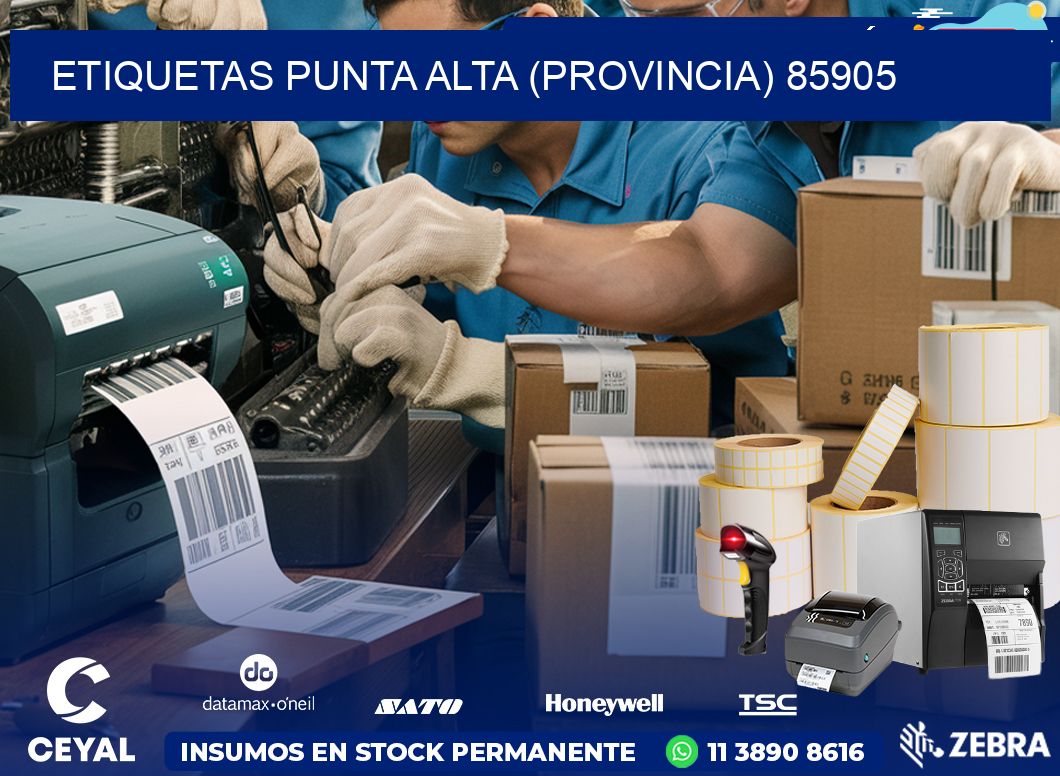 ETIQUETAS PUNTA ALTA (PROVINCIA) 85905