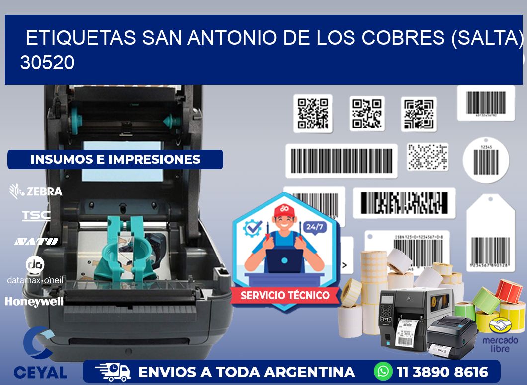 ETIQUETAS SAN ANTONIO DE LOS COBRES (SALTA) 30520