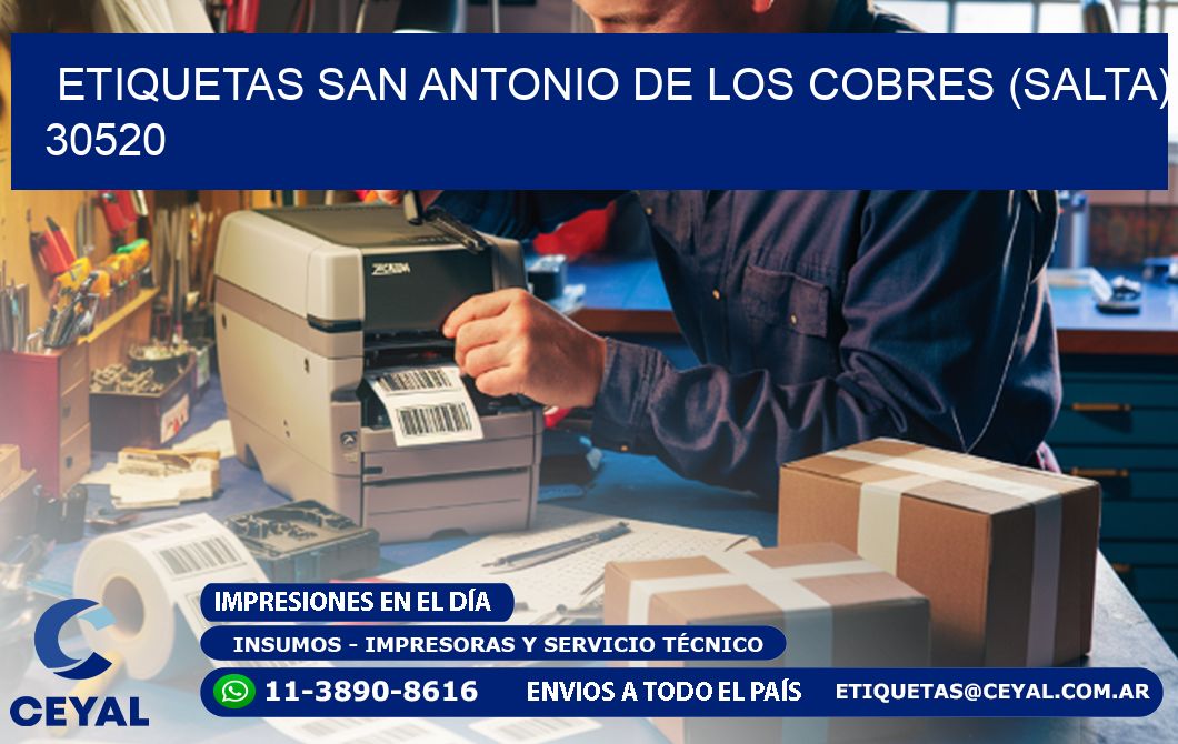 ETIQUETAS SAN ANTONIO DE LOS COBRES (SALTA) 30520