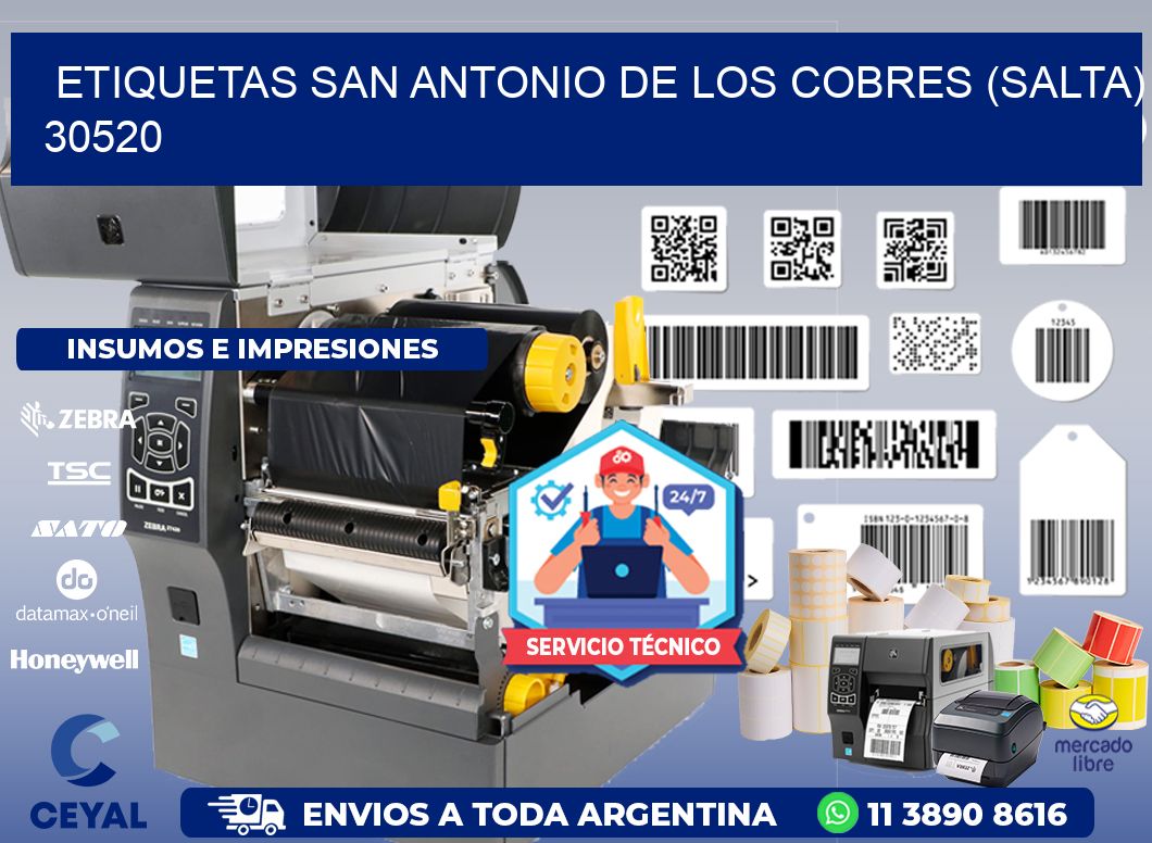 ETIQUETAS SAN ANTONIO DE LOS COBRES (SALTA) 30520
