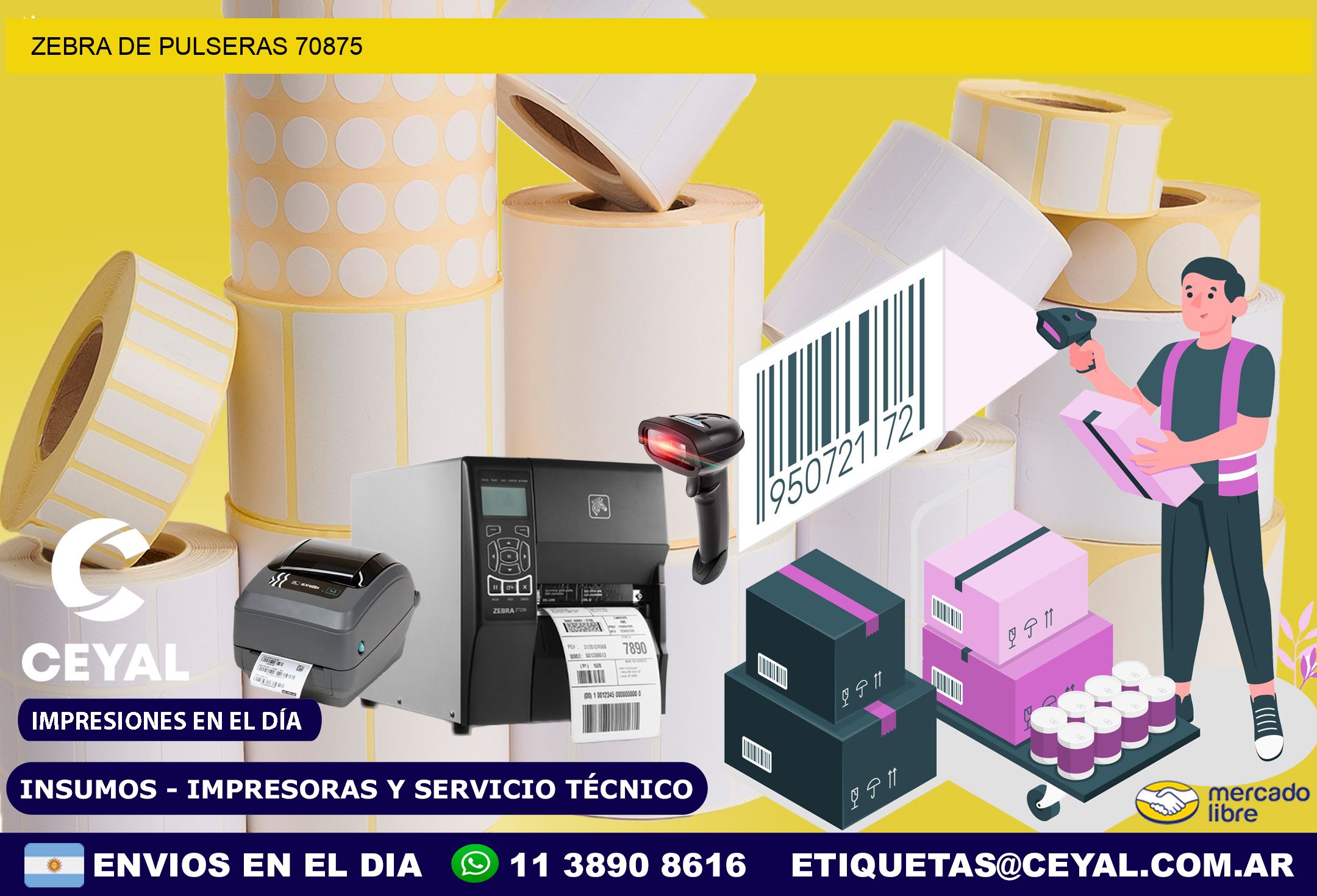 ZEBRA DE PULSERAS 70875