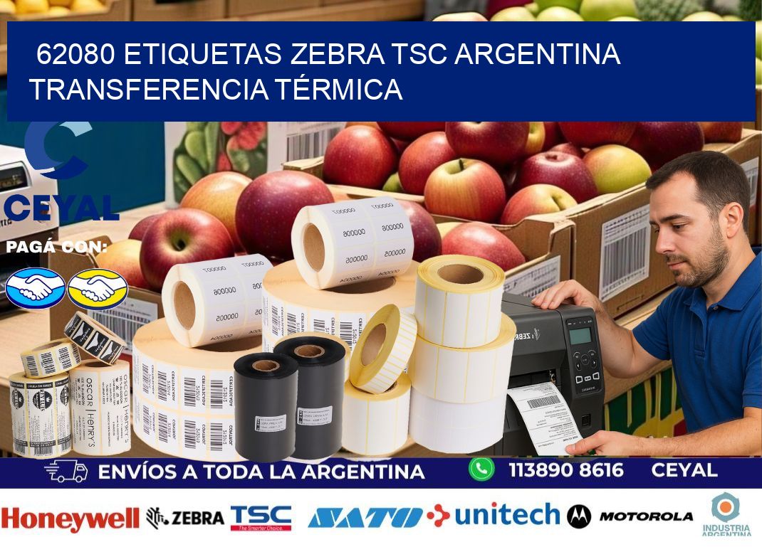 62080 etiquetas zebra tsc argentina TRANSFERENCIA TÉRMICA