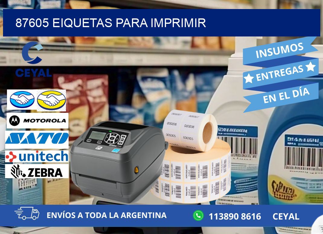 87605 EIQUETAS PARA IMPRIMIR