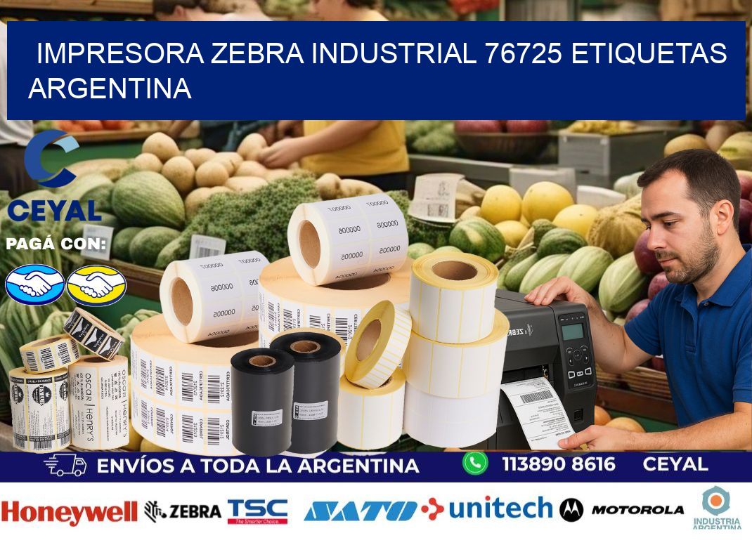 Impresora zebra industrial 76725 etiquetas argentina