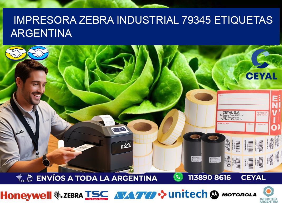 Impresora zebra industrial 79345 etiquetas argentina