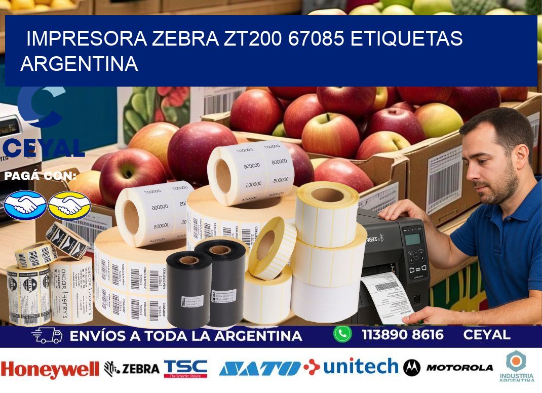 Impresora zebra zt200 67085 etiquetas argentina