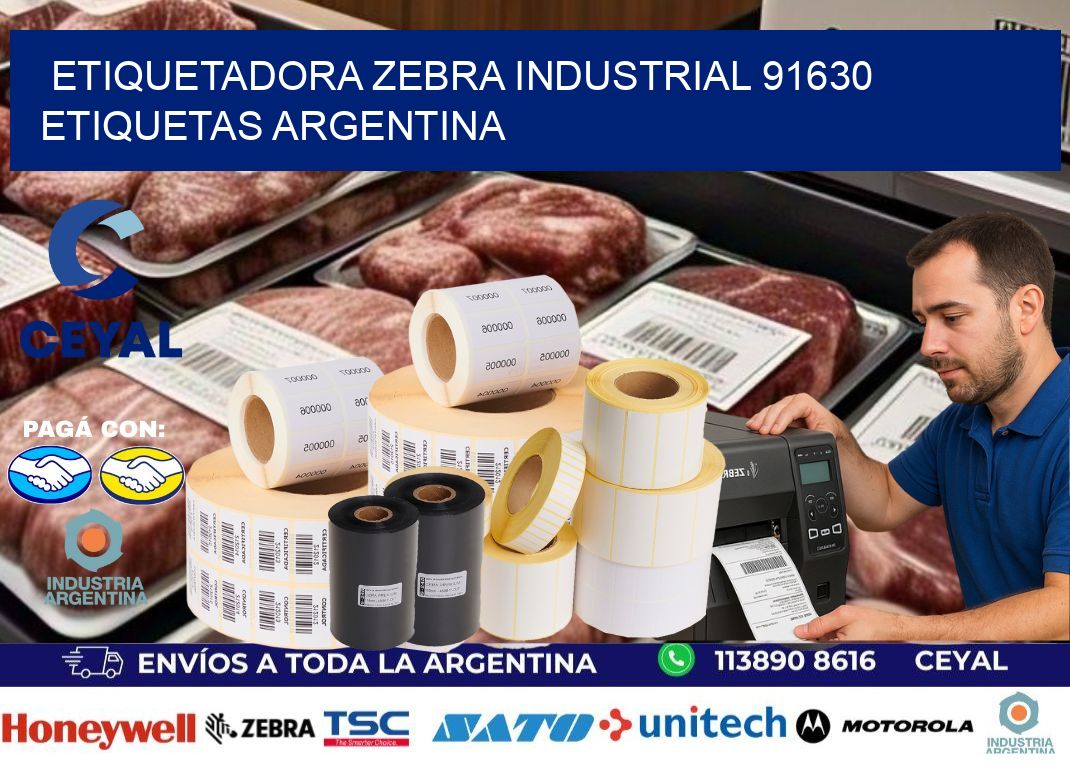 etiquetadora zebra industrial 91630 etiquetas argentina
