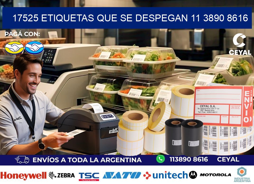 17525 ETIQUETAS QUE SE DESPEGAN 11 3890 8616