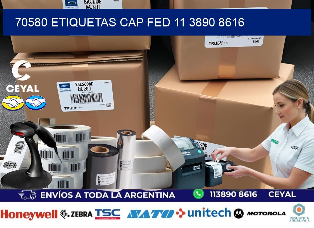 70580 ETIQUETAS CAP FED 11 3890 8616