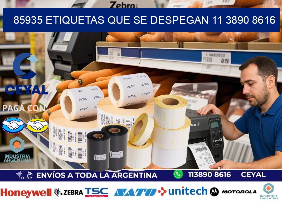 85935 ETIQUETAS QUE SE DESPEGAN 11 3890 8616